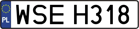 WSEH318