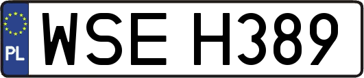WSEH389