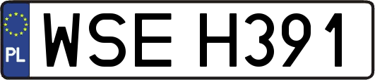 WSEH391