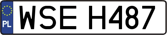 WSEH487