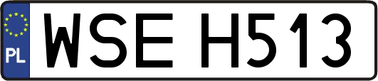 WSEH513