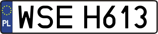 WSEH613