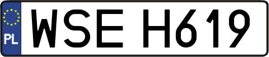 WSEH619