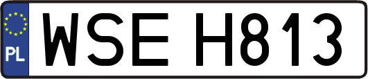 WSEH813