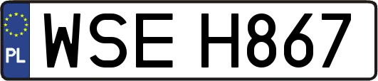 WSEH867
