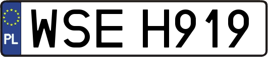 WSEH919