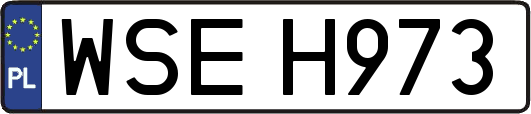 WSEH973