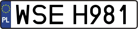 WSEH981