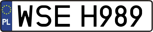WSEH989