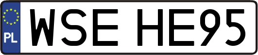 WSEHE95