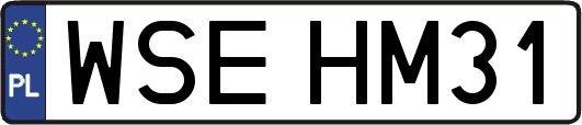 WSEHM31