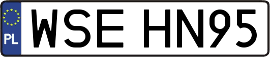 WSEHN95