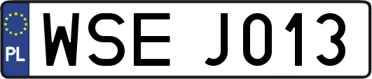 WSEJ013
