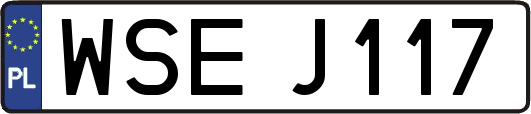 WSEJ117