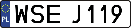 WSEJ119