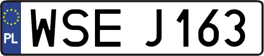 WSEJ163