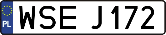 WSEJ172