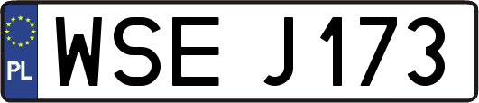 WSEJ173