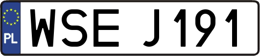 WSEJ191