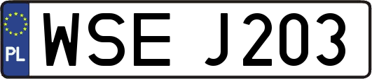 WSEJ203