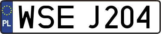 WSEJ204