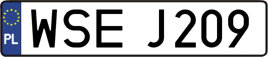 WSEJ209