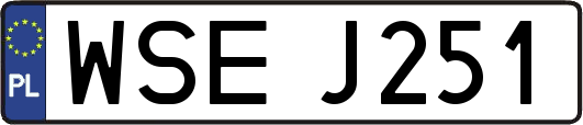 WSEJ251