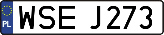 WSEJ273
