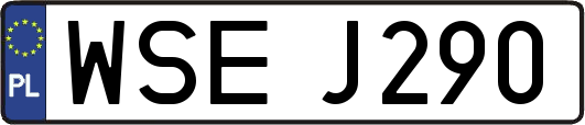 WSEJ290