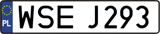 WSEJ293