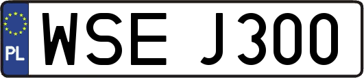 WSEJ300