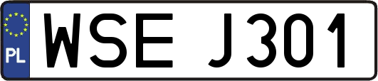 WSEJ301