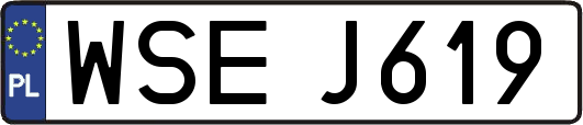 WSEJ619