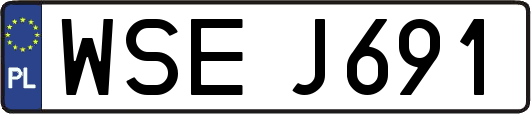 WSEJ691