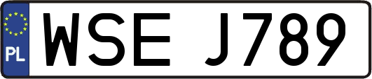 WSEJ789