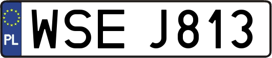 WSEJ813