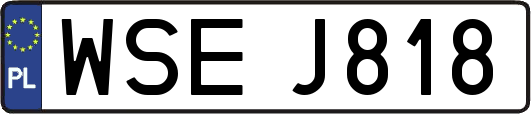 WSEJ818