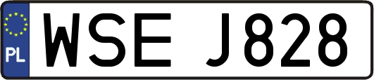 WSEJ828