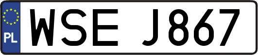 WSEJ867