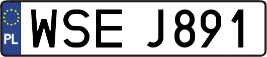 WSEJ891