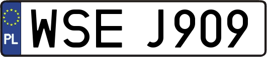 WSEJ909