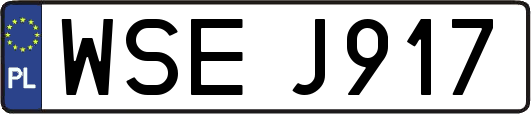 WSEJ917