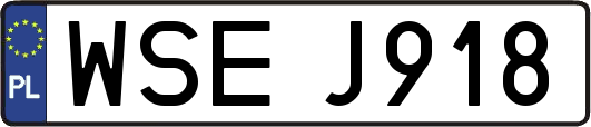WSEJ918