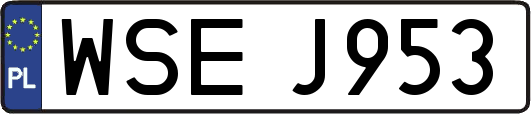 WSEJ953