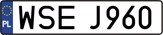 WSEJ960