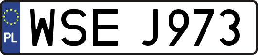 WSEJ973