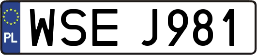 WSEJ981