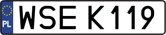 WSEK119