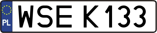 WSEK133