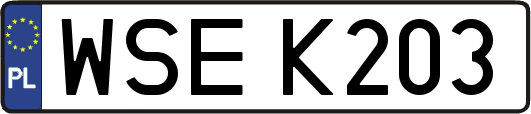 WSEK203